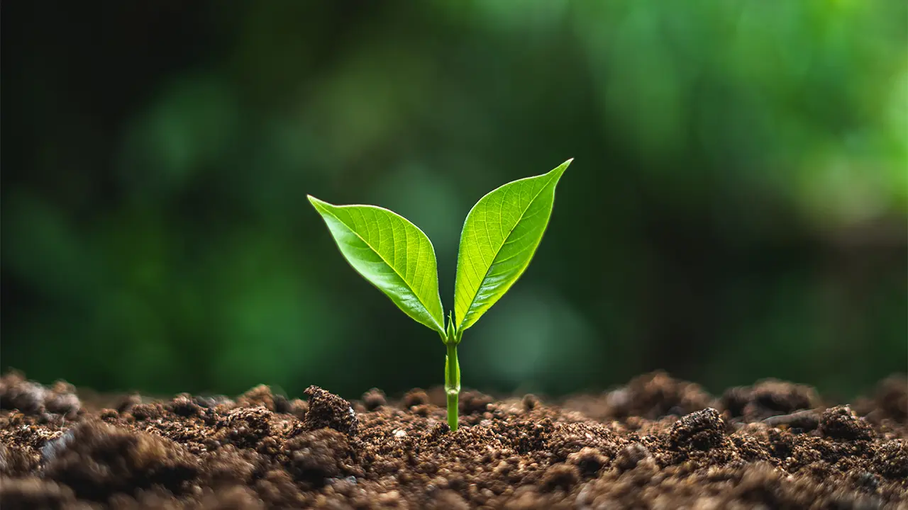 Bærekraft Bærekraft - Kelvin AS